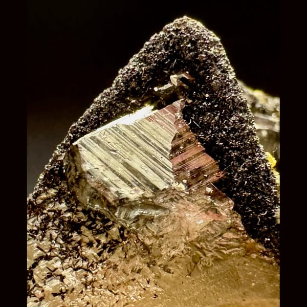 Clear Calcite with Black Needle Inclusions 4.5 cm — detail view