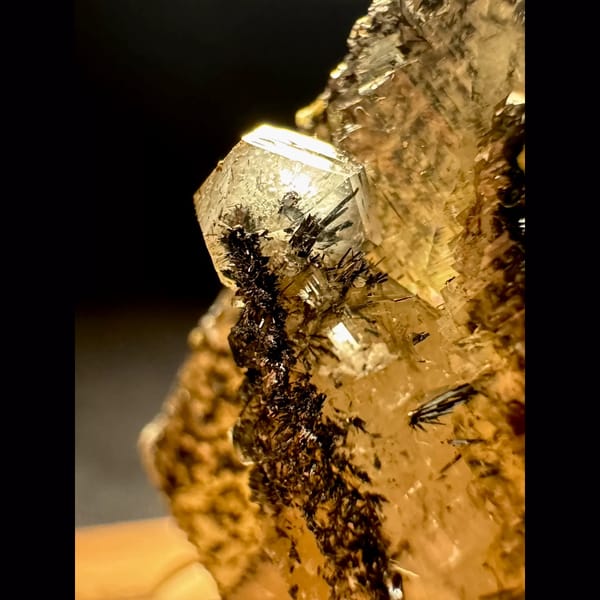 Clear Calcite with Black Needle Inclusions 4.5 cm — detail view