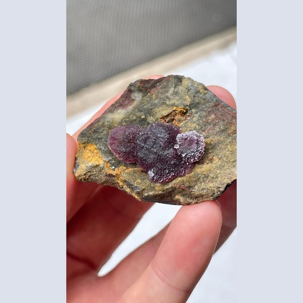 Deep purple fluorite crystals on dark matrix from Henan — detail view