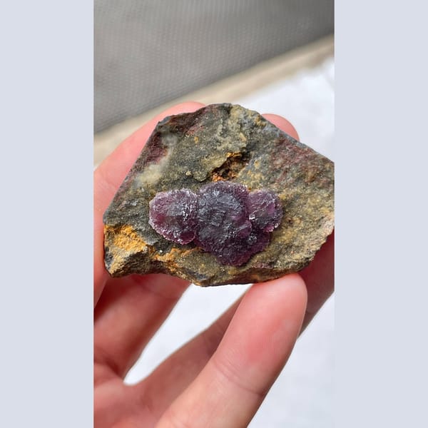 Deep purple fluorite crystals on dark matrix from Henan — detail view