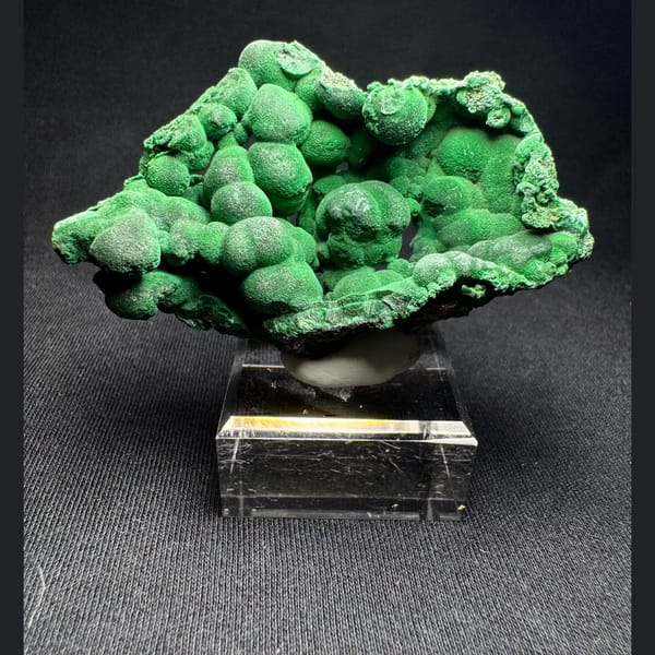 Green Malachite with Velvety Crystals 6.0 cm — complete view