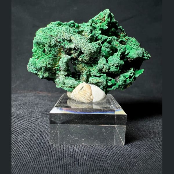 Green Malachite with Velvety Crystals 6.0 cm — alternate view