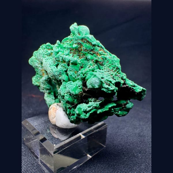 Green Malachite with Velvety Crystals 6.0 cm — alternate view
