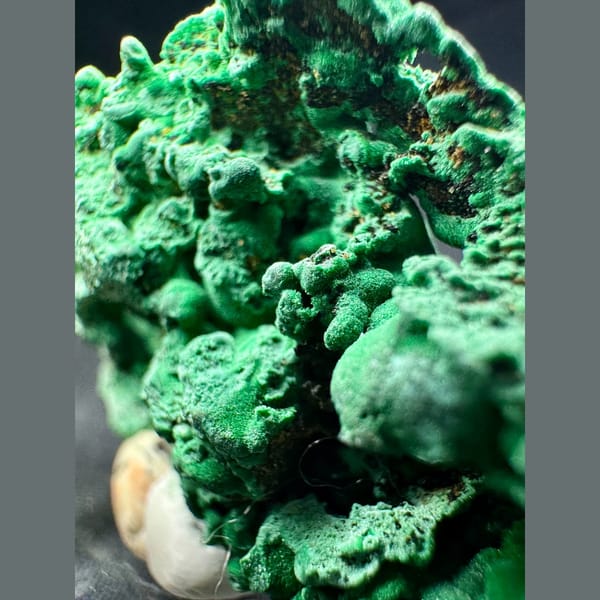 Green Malachite with Velvety Crystals 6.0 cm — detail view
