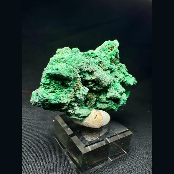 Green Malachite with Velvety Crystals 6.0 cm — detail view
