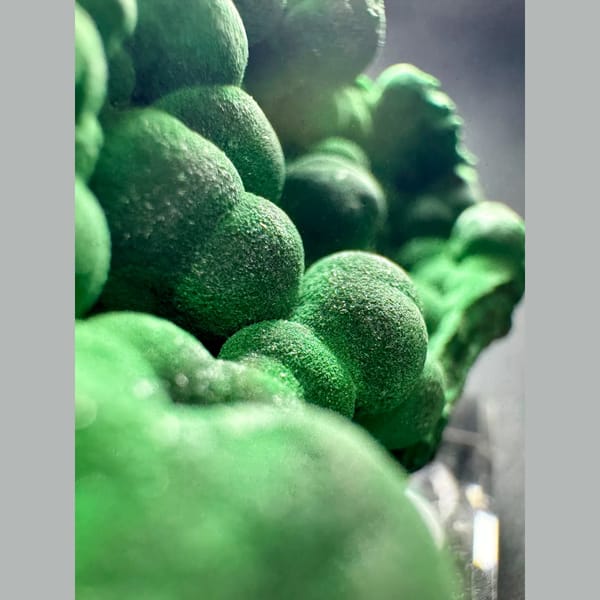 Green Malachite with Velvety Crystals 6.0 cm — detail view