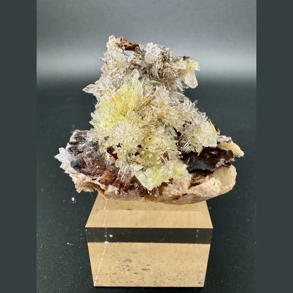 Yellow Creedite Flower Guizhou 4.5 cm — complete view
