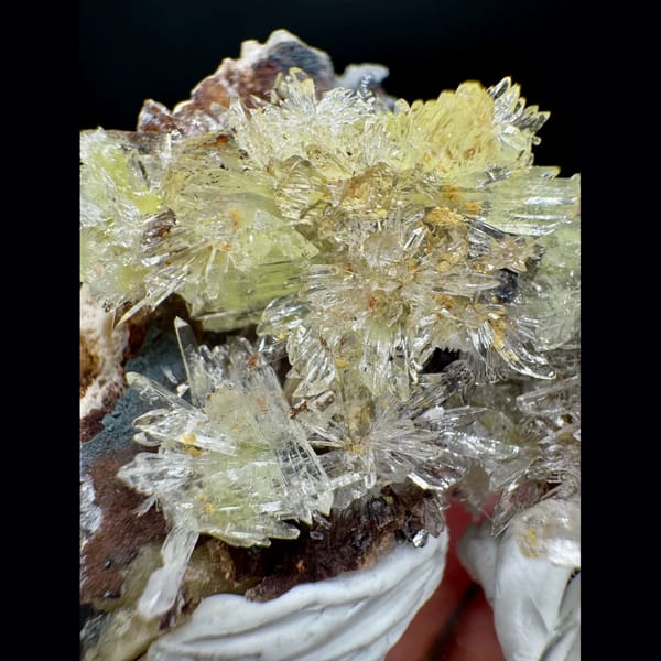 Yellow Creedite Flower Guizhou 4.5 cm — alternate view