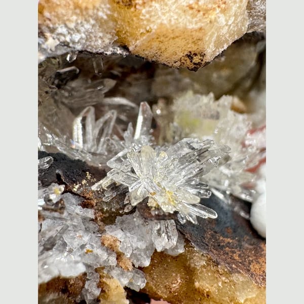 Yellow Creedite Flower Guizhou 4.5 cm — detail view