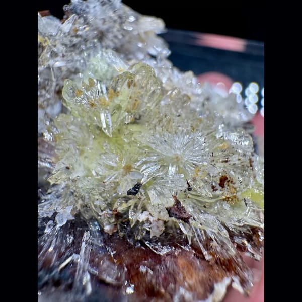 Yellow Creedite Flower Guizhou 4.5 cm — detail view