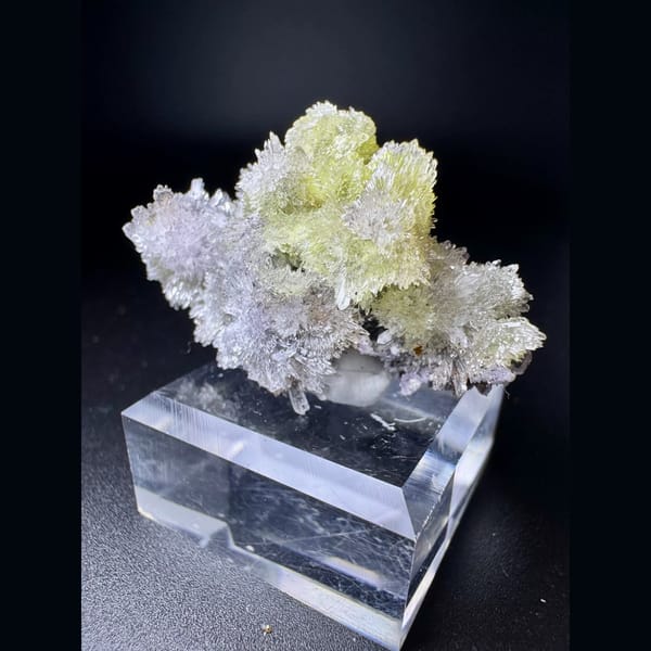 Pale Yellow Creedite Spray 5.0 cm — alternate view
