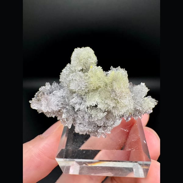 Pale Yellow Creedite Spray 5.0 cm — detail view