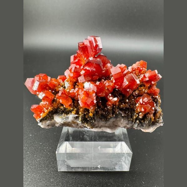 Red Vanadinite with Barite Morocco 6.0 cm — complete view