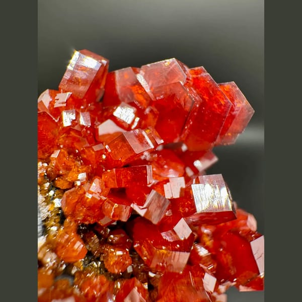 Red Vanadinite with Barite Morocco 6.0 cm — detail view