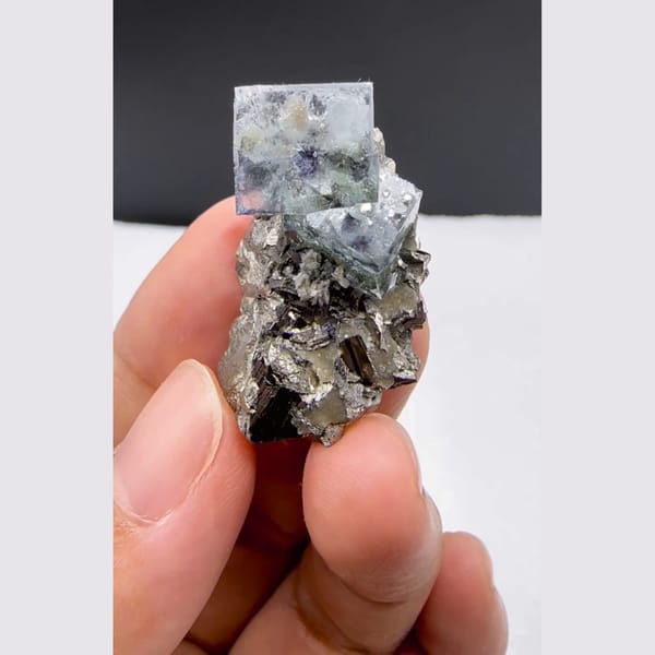 Arsenopyrite with Blue Fluorite Yaogangxian 3.0 cm — complete view