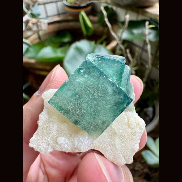 Deep Green Fluorite on White Matrix 5.0 cm — complete view