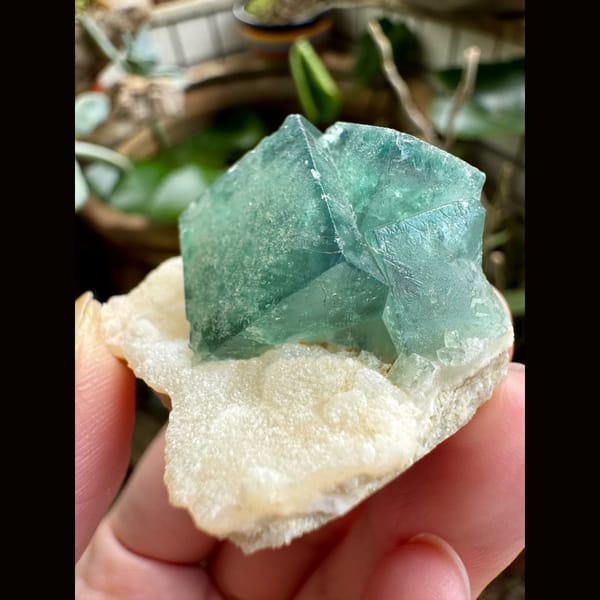 Deep Green Fluorite on White Matrix 5.0 cm — alternate view