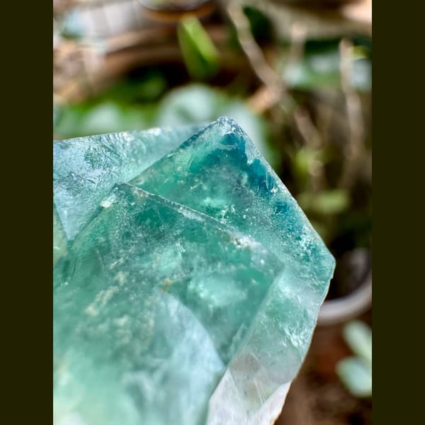 Deep Green Fluorite on White Matrix 5.0 cm — alternate view