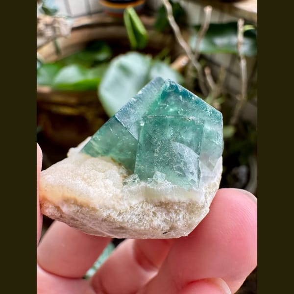 Deep Green Fluorite on White Matrix 5.0 cm — detail view