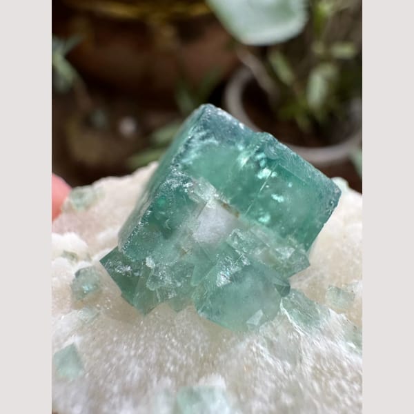 Mint Green Fluorite on Matrix 5.0 cm — complete view