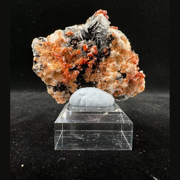 Orange-Red Vanadinite on Dark Matrix Morocco 5.0 cm — alternate view