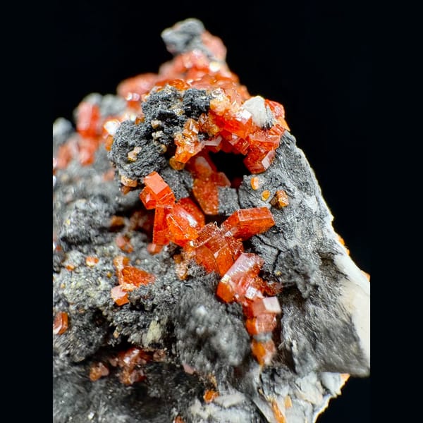 Orange-Red Vanadinite on Dark Matrix Morocco 5.0 cm — alternate view