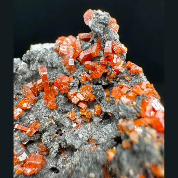 Orange-Red Vanadinite on Dark Matrix Morocco 5.0 cm — detail view