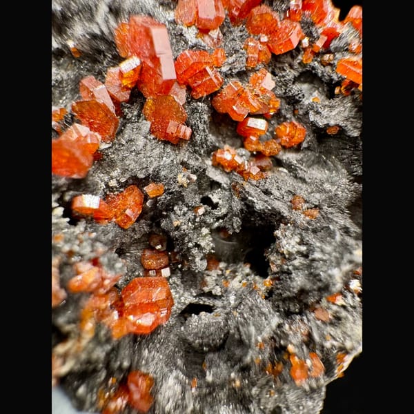 Orange-Red Vanadinite on Dark Matrix Morocco 5.0 cm — detail view