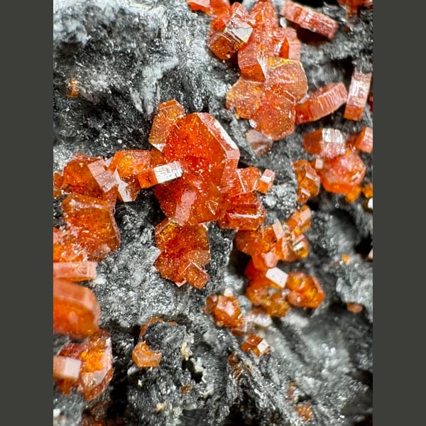 Orange-Red Vanadinite on Dark Matrix Morocco 5.0 cm — detail view