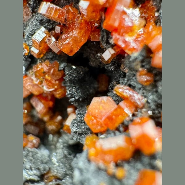 Orange-Red Vanadinite on Dark Matrix Morocco 5.0 cm — detail view