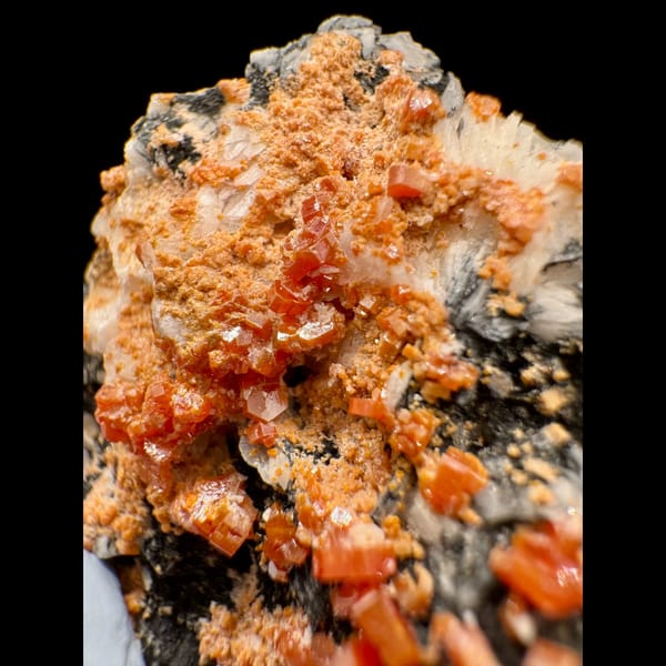 Orange-Red Vanadinite on Dark Matrix Morocco 5.0 cm — detail view