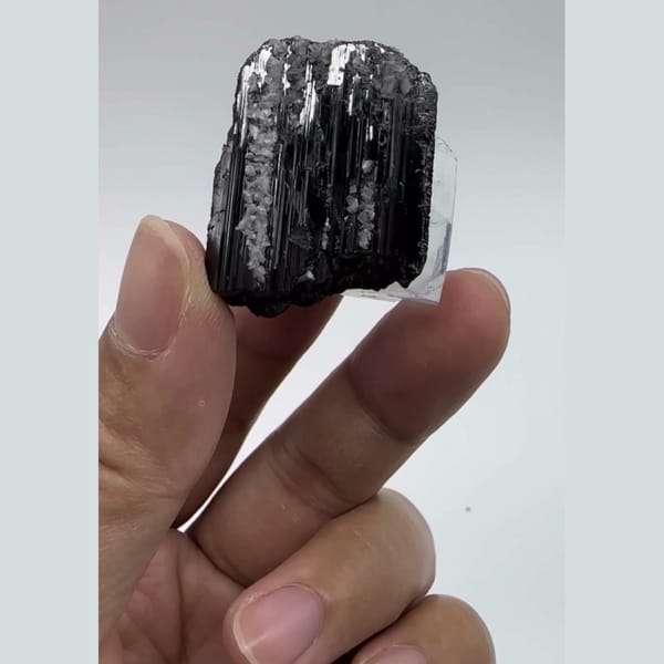 Lustrous Wolframite with Fluorite Yaogangxian 2.9 cm — complete view