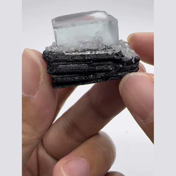 Lustrous Wolframite with Fluorite Yaogangxian 2.9 cm — alternate view