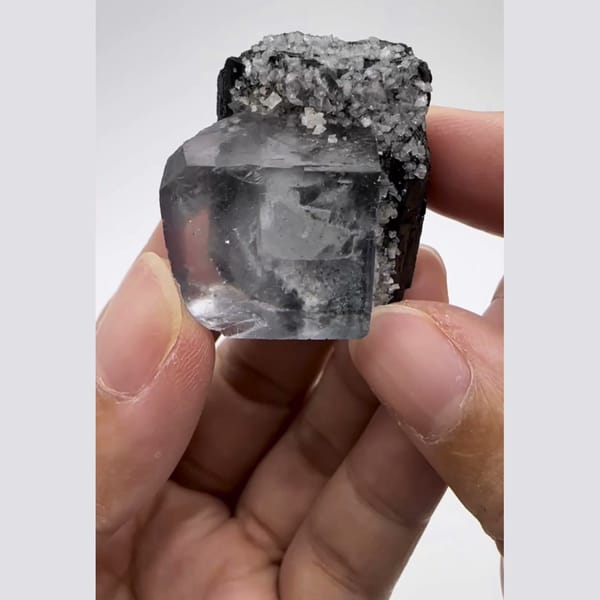 Lustrous Wolframite with Fluorite Yaogangxian 2.9 cm — alternate view