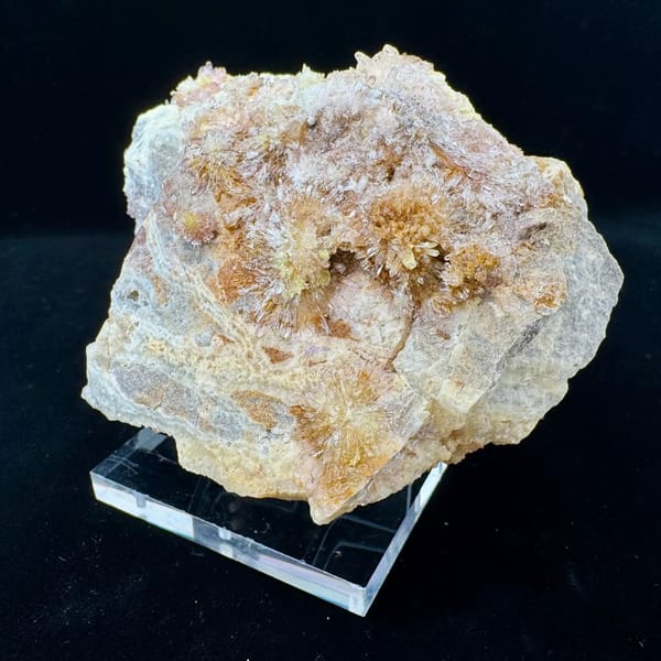 Cream Creedite Chrysanthemum Cluster Guizhou 11.0 cm — complete view