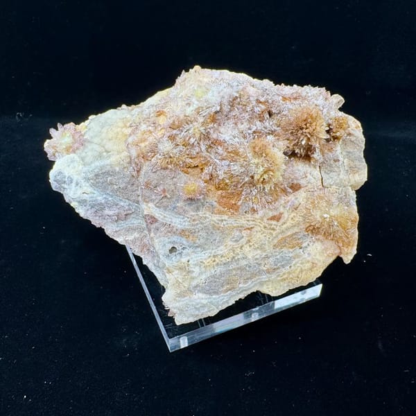 Cream Creedite Chrysanthemum Cluster Guizhou 11.0 cm — alternate view