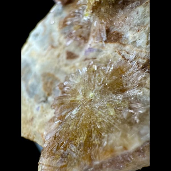 Cream Creedite Chrysanthemum Cluster Guizhou 11.0 cm — alternate view