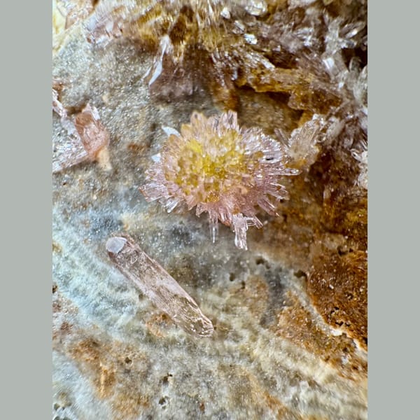 Cream Creedite Chrysanthemum Cluster Guizhou 11.0 cm — detail view