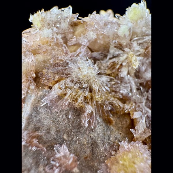 Cream Creedite Chrysanthemum Cluster Guizhou 11.0 cm — detail view