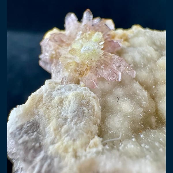Cream Creedite Chrysanthemum Cluster Guizhou 11.0 cm — detail view