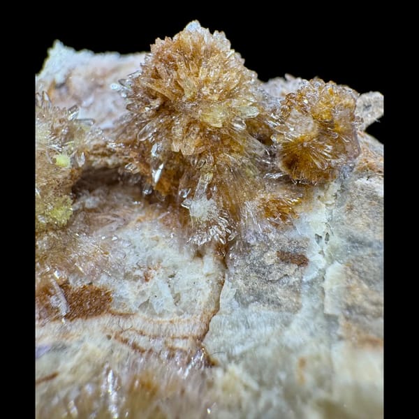 Cream Creedite Chrysanthemum Cluster Guizhou 11.0 cm — detail view