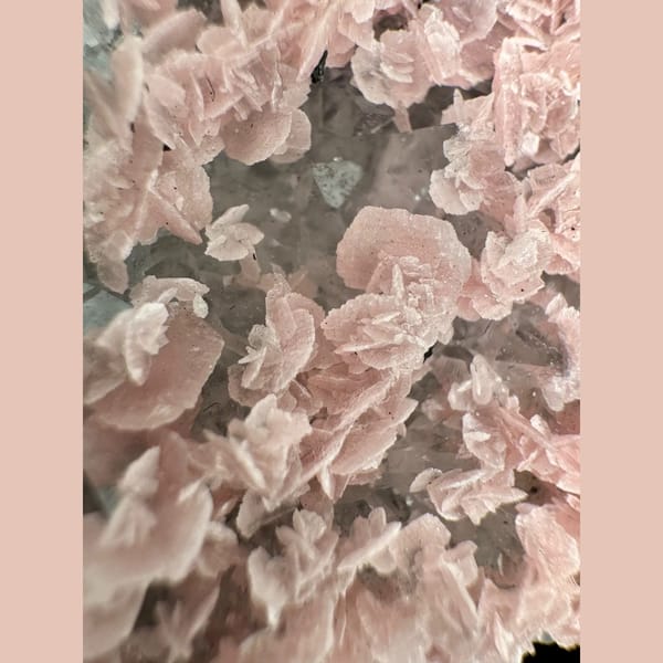 Pink Rhodochrosite Petal Cluster 7.0 cm — alternate view