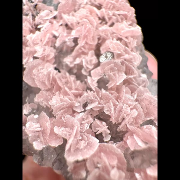 Pink Rhodochrosite Petal Cluster 7.0 cm — alternate view