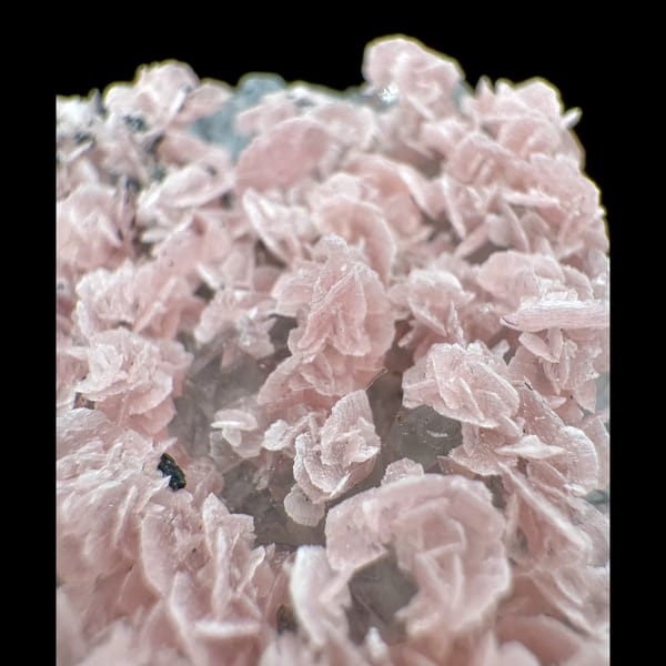 Pink Rhodochrosite Petal Cluster 7.0 cm — detail view
