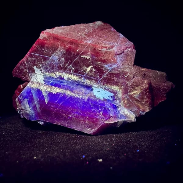 Black Rose Fluorite, UV Reactive 8.0 cm — detail view