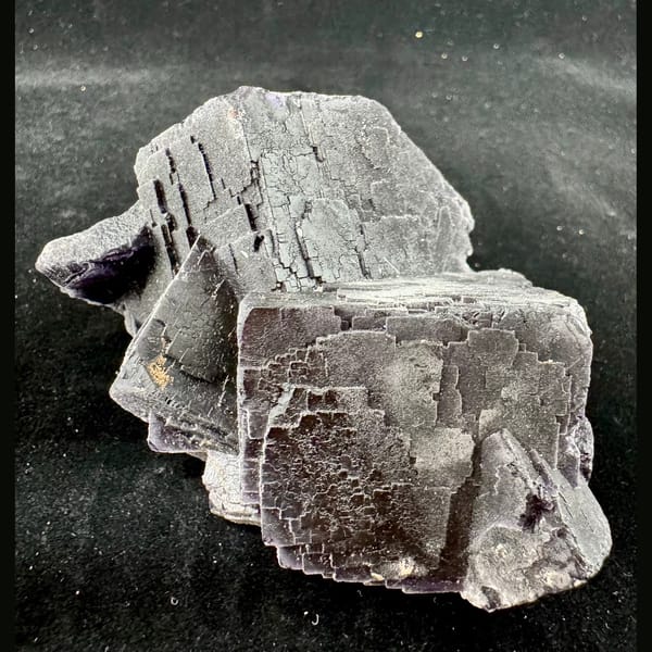 Black Rose Fluorite, UV Reactive 8.0 cm — detail view