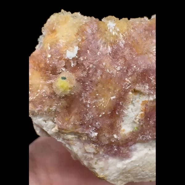 Pink Creedite Flower with Yellow 8.0 cm — complete view (video frame)