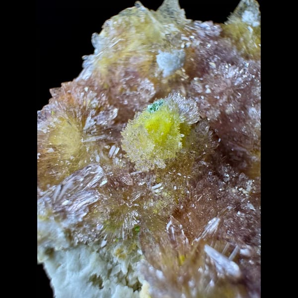 Pink Creedite Flower with Yellow 8.0 cm — detail view