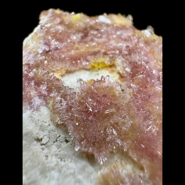 Pink Creedite Flower with Yellow 8.0 cm — detail view