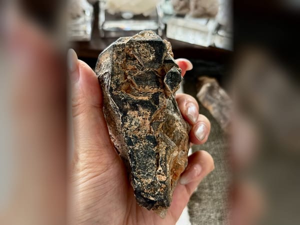 Madagascar Black Skeletal Quartz with Mica, 241.5 g Elestial Mineral Specimen — complete view